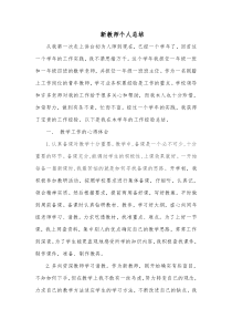 新教师个人总结