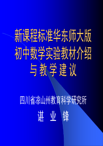 新课程标准华东师大版初中数学实验教材介绍与教学建议