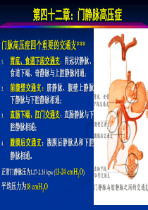 门脉高压症四个重要的交通支