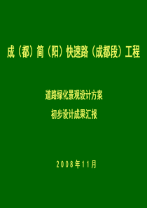 成简快速通道方案汇报.