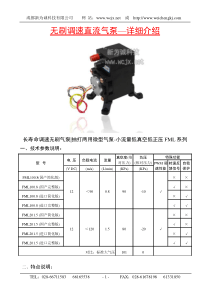 无刷直流气泵FML的技术资料