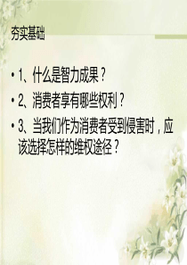 我们崇尚公平正义(复习)中考一轮复习.