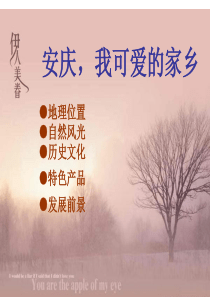 我可爱的家乡安庆.