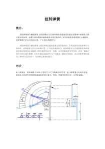 扭转弹簧碟形弹簧