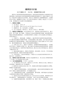 教师实习计划