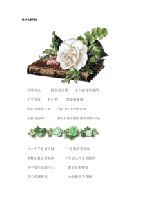 教师教案网址