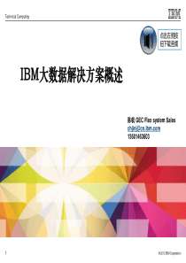 IBM的大数据解决方案21