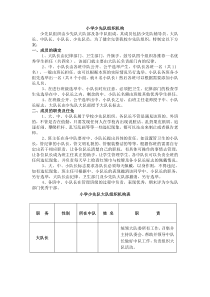 小学少先队组织机构..