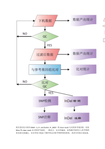 开发SNP标记的方法