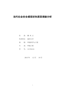 当代社会安全感现状和原因调查分析报告