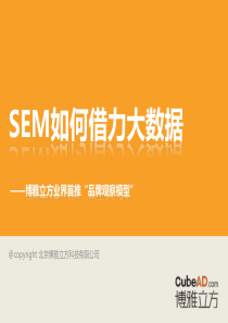 SEM如何借力大数据