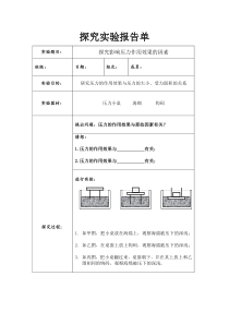 影响压力作用效果的条件探究实验报告单