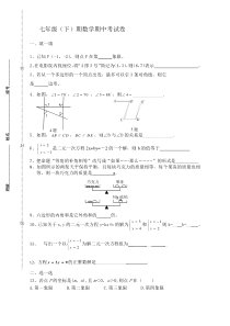 新人教七年级下学期数学期中考试试卷(9)