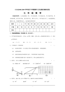 新人教版CGS2008-2009学年度下学期期中文化素质调研七年级数学试卷(含答案)