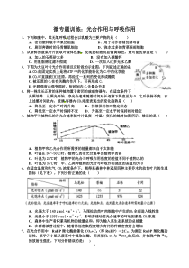 微专题光合作用与呼吸作用-