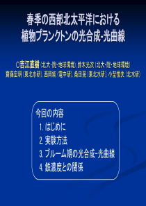 春季西部北太平洋