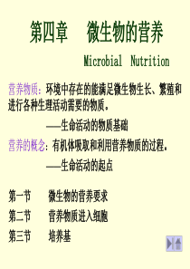 微生物学-4营养