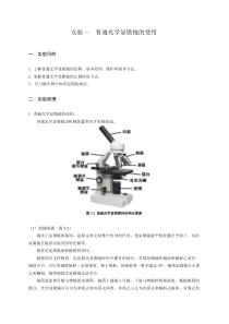 微生物实验第一次实验用讲义