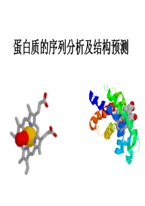 蛋白质的序列分析及结构预测