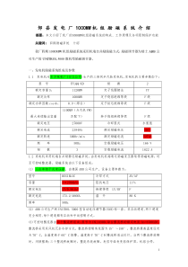 山东邹县1000MW