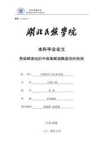 患病鲫肾组织中病毒解旋酶基因的检测