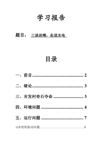 岩滩水电站报告