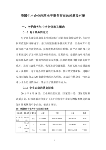 我国中小企业应用电子商务存在的问题及对策