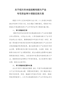 战略性新兴产业审计调查实施方案