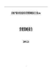 房地产新农村改造项目营销策略执行方案