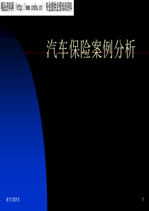 汽车保险案例分析（PPT49页）