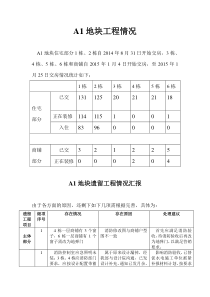 工程项目,交付情况