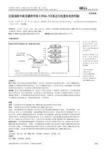 巨噬细胞中脂多糖诱导微小RNA-155表达与地塞米松的抑制