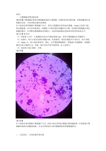 巨噬细胞吞噬实验沉淀实验实验报告