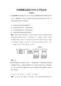 巧用图解法追踪DNA分子的去向