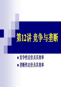 清华大学五道口金融学院高级微观经济学AMICE12竞争