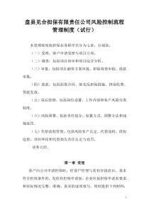 担保公司风险控制流程管理制度