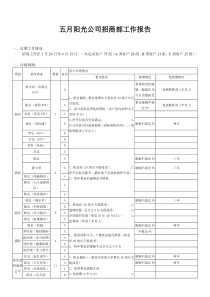 招商近期工作报告