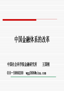 王国刚-中国金融体系的改革