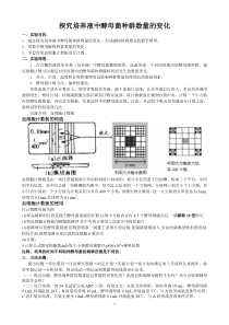 探究培养液中酵母菌数量的变化