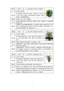 常见室内盆栽绿化植物介绍(带图片)-