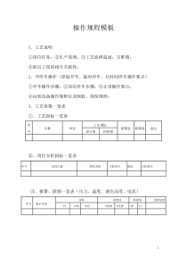 操作规程模板