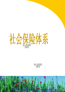 社会保险体系及城镇居民基本医疗保险政策介绍(30页)