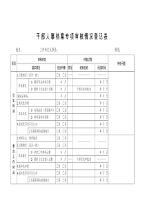 干部人事档案专项审核情况登记表及说明