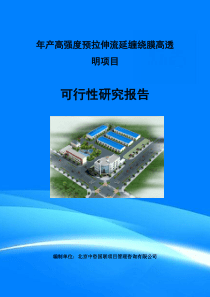 年产高强度预拉伸流延缠绕膜高透明项目可行性研究报告(目录)