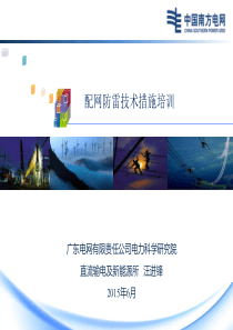 广东电网公司配网防雷技术措施培训.