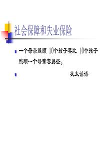 社会保障和失业保险的定义(ppt84页)