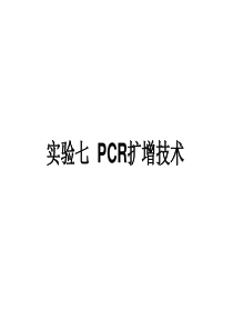 实验七PCR扩增技术