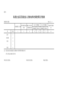 私营企业及灵活就业人员参加养老保险情况月报表