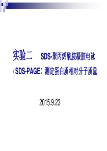 实验二SDS-PAGE测定蛋白质相对分子质量2015923