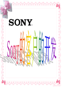 客户开发案例sony的客户开发